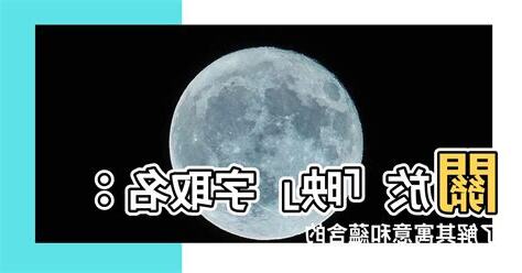 映 意思